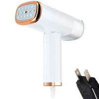 Vertical Garment Steamer